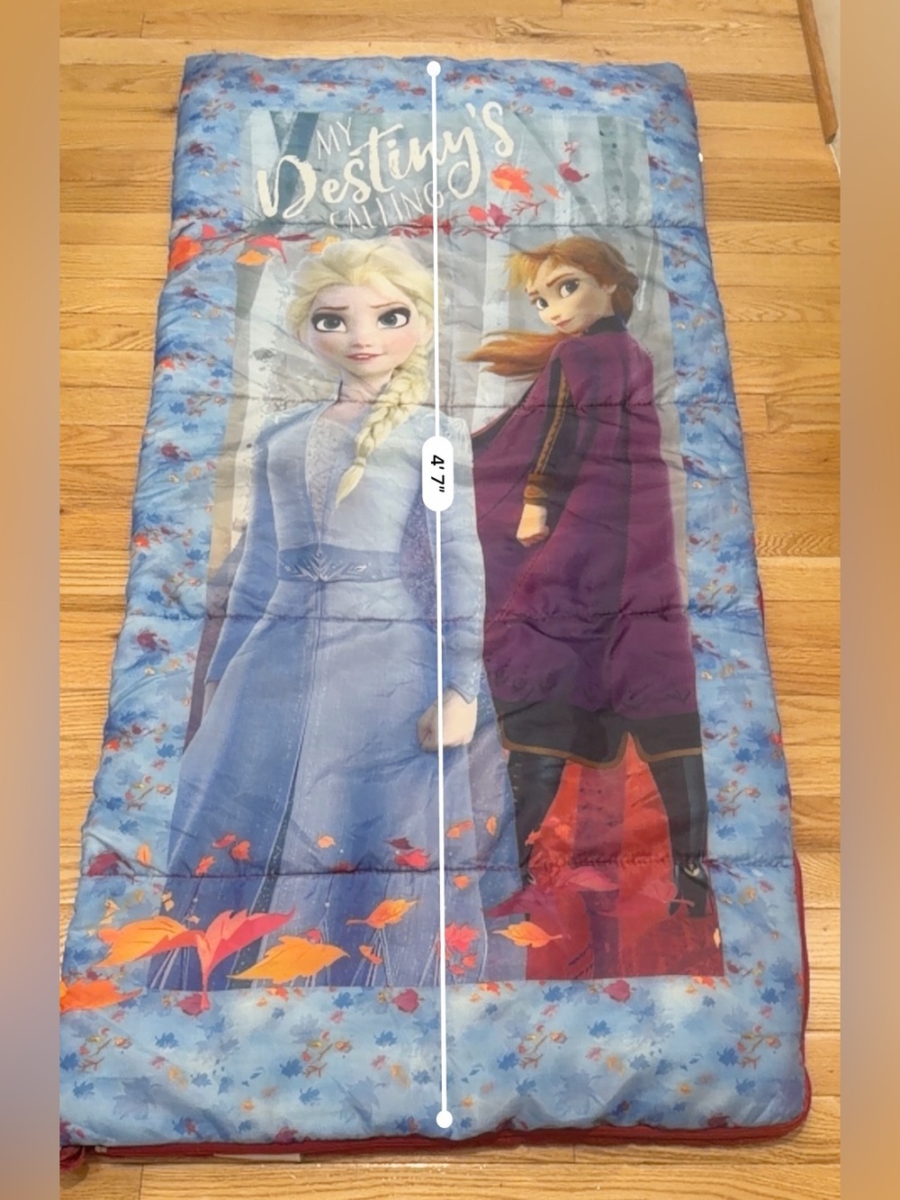 Disney Frozen Kids Sleeping Bag Elsa & Anna 27” x 55” Camping Sleepover